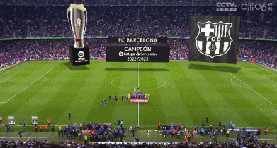 国家队主力二传加盟！剑指冠军！（五星体育之G采君）